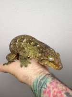 IMG_3980.jpg