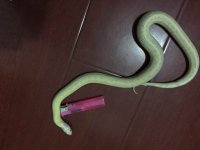 QQ??20141030124146.jpg