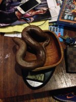 sand boa 3.jpg