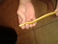 20141008_140948.jpg
