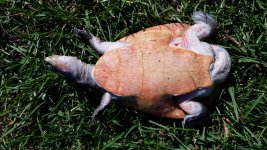 20141117_104238.jpg