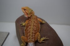 16_2.jpg 16_2.jpg