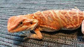 2014-11-06 13.18.08.jpg