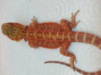 20140927_101743.jpg