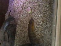 IMG_3329.jpg
