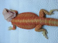 20140930_125049.jpg