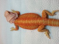 20140930_125036.jpg