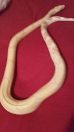 Female Sharp.jpg