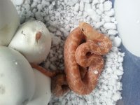 20130705_071902.jpg