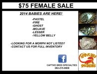 $75 FEMALES.jpg