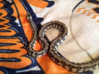 photo 1.jpg