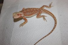 IMG_1624.JPG