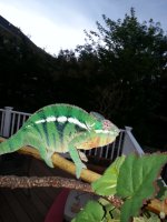 20140723_175159.jpg
