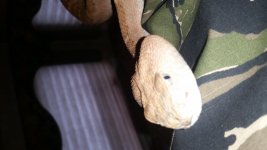 20141030_134422.jpg
