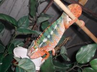 DSCF7178.jpg