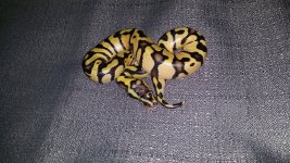 20140729_134805.jpg