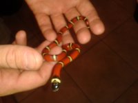 20141007_144833.jpg