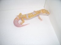 pics 021.jpg