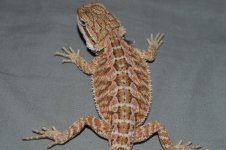 DSC_0069.jpg