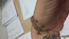 20141001_160201.jpg
