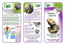 flyer-2fullsize.jpg