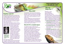 flyer-1fullsize.jpg