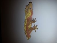20141029_152901.jpg