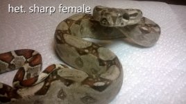 2014_09_18_22_44_43[1].jpg