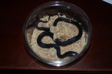 DSC_6761.jpg