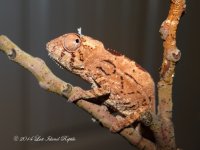DSC05002.jpg