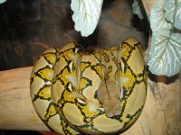 IMG_4792.jpg