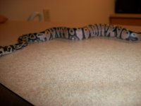 100_0427.jpg