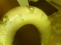 IMAG0307.jpg