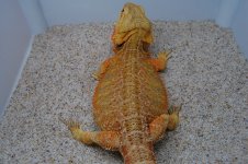 DSC_0744.jpg