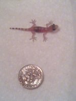 tiny1.jpg
