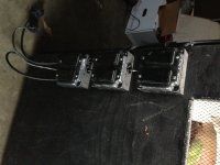 cage 3.jpg