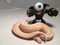 Killer kingspin.jpg