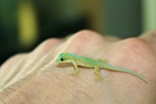 IMG_9107.jpg