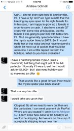 FB2.jpg
