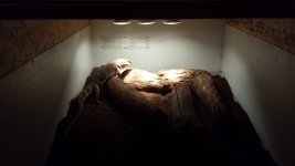 20140817_222030.jpg