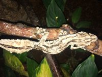 IMG_5054.jpg