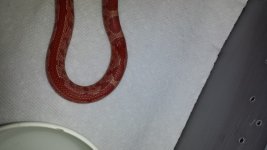 20140925_163922.jpg