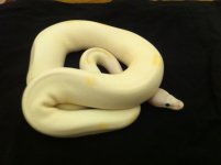 IMG_0525.jpg
