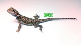 20140924_215026.jpg