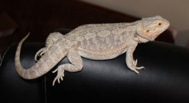 IMG_4918.jpg