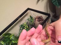 hand_1.jpg