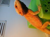 20150223_203116.jpg