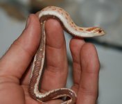 DSC_3308.jpg
