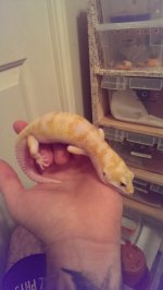 IMAG0245.jpg