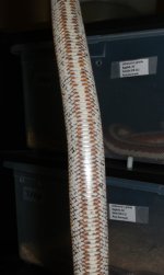 VENTRAL.jpg